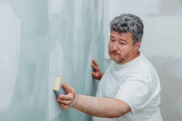 Best Drywall Patching  in USA